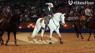 Portuguese Lusitanos at Olympia Horse Show [upl. by Kinch]