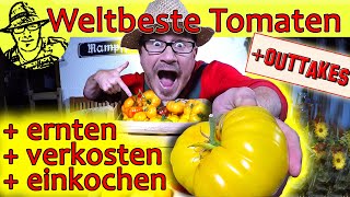 Die weltbeste Tomatensoße selber machen Mit ganz neuer Methode zum haltbar machen Pressure Canner [upl. by Dnar]