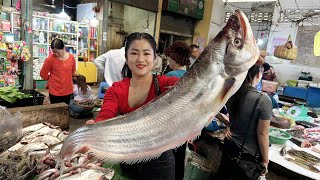 Market show Buy big river fish and cooking  Cooking with Sreypov [upl. by Akemit]