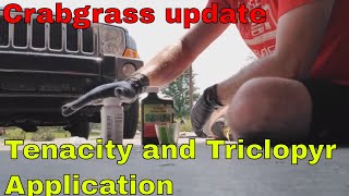 Crabgrass update tenacity and triclopyr application [upl. by Oirasec521]