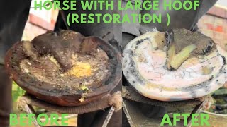 Shire Horse Complete restoration Shire Horse Restoration Compilation shirehorse huge massivehoof [upl. by Auberon216]