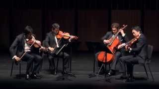 Franz Schubert： Quartettsatz in Cmoll D 703 [upl. by Marx]