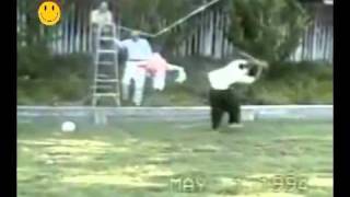 Videos Graciosos PIÑATAS lolmp4 [upl. by Larrad]