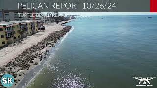 Siesta Key Beach Reopens  Hurricanes on Siesta Key  Real Siesta Key Pelican Report [upl. by Loree]