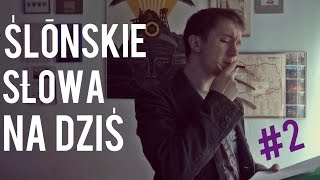 ŚLĄSKIE SŁOWA NA DZIŚ 2 [upl. by Corkhill]