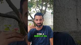 Conforme o ser humano se afasta da floresta ele enfraquece [upl. by Eenyaj]