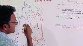 How Afterload controls Cardiac Output [upl. by Etnaud]