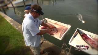 Carolina Fishing TV  Season 214  More Spanish amp Kings [upl. by Cantu]