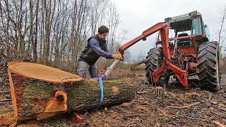 Les surbilles signent la fin du chantier de bois  2022 [upl. by Erida]