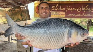 Fish Dum Pukht Recipe  Slow Cooked Fish  Rice Cooked Inside The Fish  Village Food Secrets [upl. by Ettennig]