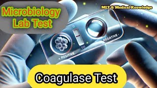 Microbiology Coagulase Test Song  Microbiology Lab  Mlt amp medical knowledge 🦠🧫 [upl. by Coffin975]