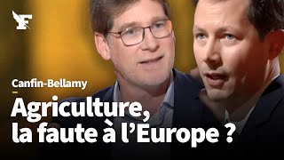 Colère des agriculteurs  débat entre FrançoisXavier Bellamy et Pascal Canfin [upl. by Leahcimnoj]