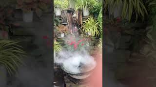 Water steam at hidden garden [upl. by Elspet]