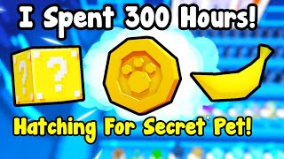 I Spent 300 Hours Hatching For Secret Pet  Pet Simulator 99 Roblox [upl. by Annoda]