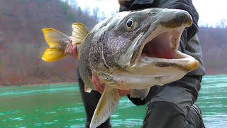 FLOAT FISHING for Massive TROUT at the NIAGARA RIVER [upl. by Yssirk]