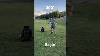 Disc Golf accuracy practice recommended by UDisc App [upl. by Aralc91]