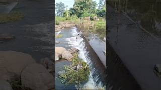 Training video Lucknow ka Pani video [upl. by Clementia]