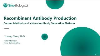 Recombinant Antibody Production Current Methods and a Novel Antibody Generation Platform [upl. by Priscilla885]