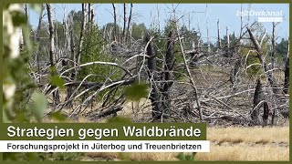 Strategien gegen Waldbrände  Forschungsprojekt in Jüterbog und Treuenbrietzen [upl. by Zsazsa]