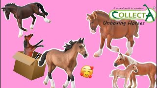 🐎CollectA Pferde Unboxing🐎😍 [upl. by Birgit]