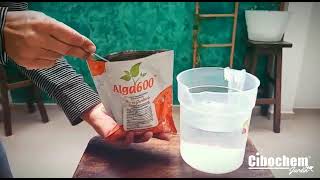 Aplicación de nuestros productos ALGA600  FERTILITA AMINO 43 [upl. by Acacia]