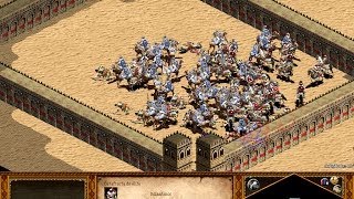 Por que una catafracta vence a un camello  HD  Age of Empires II The Conquerors [upl. by Syman642]