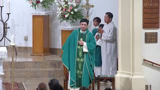 700PM VN Mass Thirty Second Sunday In Ordinary Time [upl. by Ardeth]