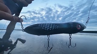 MUSKY FISHING CHAOS  TOPWATER [upl. by Suellen]