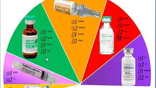 vasopressors and inotropes 1 intro [upl. by Udella714]