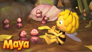 ¡Celebra el día de la madre con La Abeja Maya 🐝 Mejores Episodios  Episodio completo  10 minutos [upl. by Doris]