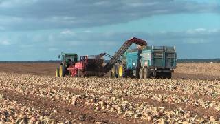 Récolte des oignons 2011 John Deere 6220 amp arracheuse Grimme  harvest onions [upl. by Trebmal]