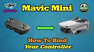 How To Pair Your Mavic Mini Drone and Controller [upl. by Edobalo]