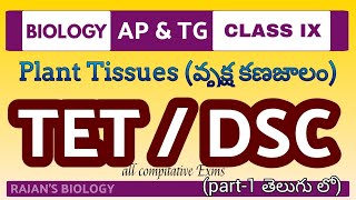 Plant Tissues l Tet and Dsc l RAJANSBIOLOGY [upl. by Novaj627]