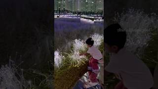 Dubai Aya Universe 🤩 an immersive experience ytshorts shortvideo shorts dubaiattractions [upl. by Nemsaj]