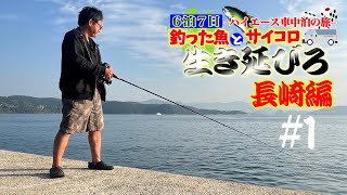 6泊7日釣った魚で生き延びろ‼改造ハイエース車中泊の旅1 [upl. by Emlynne]