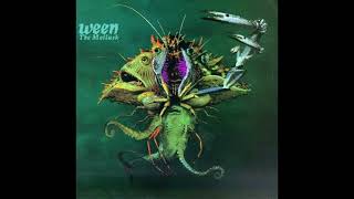 Ween  quotOcean Manquot InstrumentalKaraoke Edition [upl. by Gurtner]