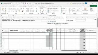 TALLER DE PLANILLAS DE SUELDOS Y SALARIOS PARTE 1 [upl. by Renick]