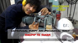 Centrifugal Pumps and Mechanical Seals  Maintenance and Theory [upl. by Janeen]