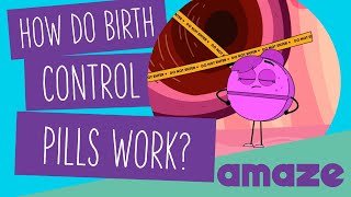 How Do Birth Control Pills Work [upl. by Adliw]