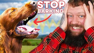 How To Stop Your Dog Barking  You Can Do This Right Now [upl. by Gavra200]