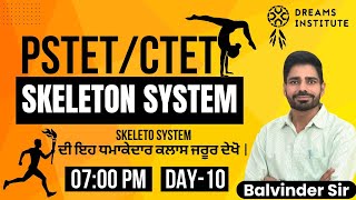 PSTETCTET  PHYSICAL EDUCATION  DAY10  SKELETON SYSTEM  0700 PM   Dreams Institute Fazilka [upl. by Langer]