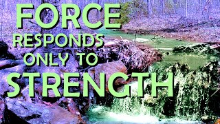 A Separate Reality  Ch 12b  Carlos Castaneda  Force Only Responds to Strength [upl. by Ahsea]