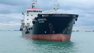 RORO Royalty Shipspotting the Wallenius Wilhelmsen Vessel  SINGAPORE  AMSTERDAM  ISTANBUL [upl. by Kinimod]