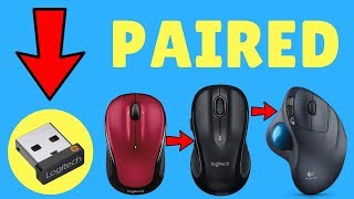 How To Pair Logitech Unifying Receiver With Mouse And Keyboard  Logitech  Get Fixed [upl. by Aneetak364]