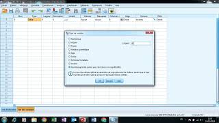 تقنيات الاستقصاء II مقدمة حول برنامج SPSS [upl. by Siroved]