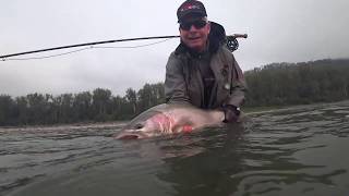 Chromatic Journey  BC Steelhead [upl. by Aneehsar822]