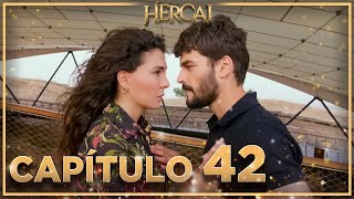 Hercai  Capítulo 42 [upl. by Holmen322]