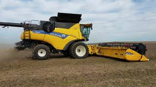 2018 New Holland CR890 Combine Review  Live in Field [upl. by Hanway429]