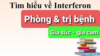 Interferon ứng dụng trong phòng và trị bệnh cho gia súc gia cầm đạt hiệu quả cao [upl. by Ruiz]