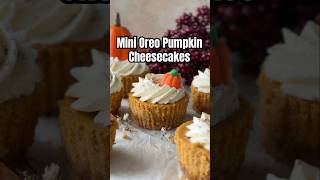 Mini Oreo Pumpkin Cheesecakes🎃🤌🏼 youtubeshorts fallbaking shortvideo shorts pumpkinseason [upl. by Zeiger2]